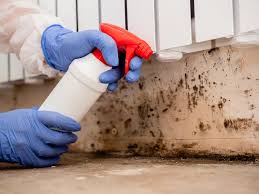 Best Mold Damage Restoration  in Pawnee, OK